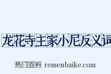 龙花寺主家小尼反义词是什么意思的图片
